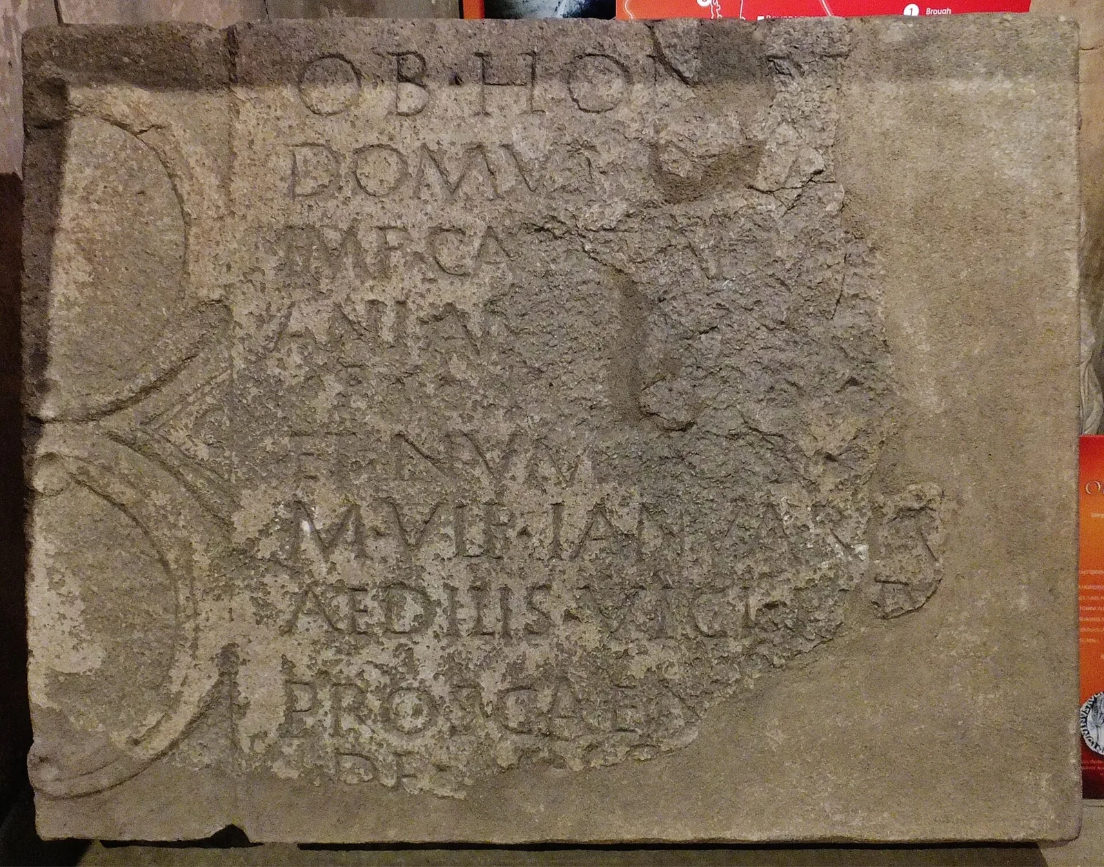 Petuaria